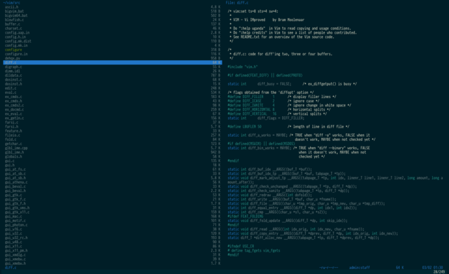 Vifm with dark solarized theme on OS X